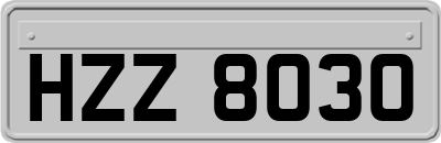 HZZ8030