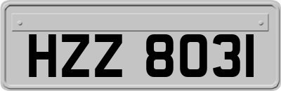 HZZ8031