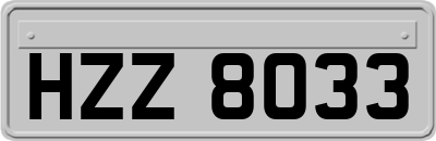HZZ8033