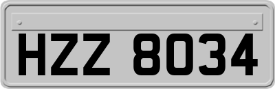 HZZ8034