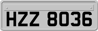 HZZ8036