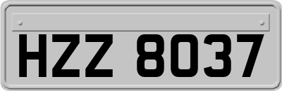 HZZ8037