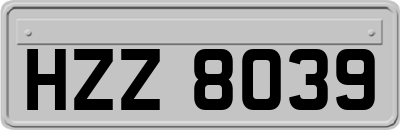 HZZ8039