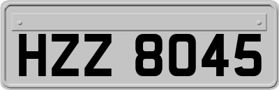 HZZ8045