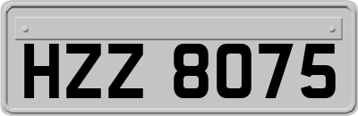 HZZ8075