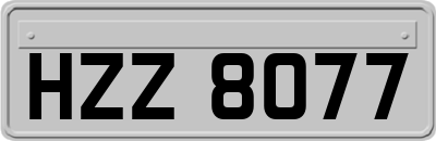 HZZ8077