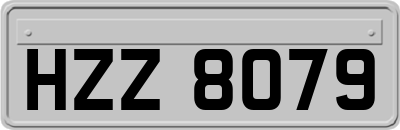 HZZ8079