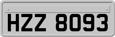 HZZ8093