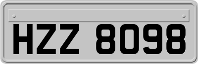 HZZ8098