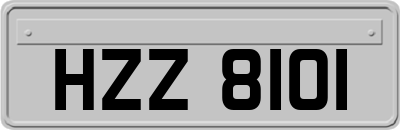 HZZ8101