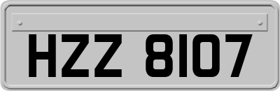 HZZ8107