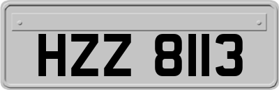 HZZ8113