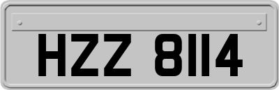 HZZ8114