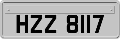 HZZ8117