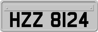 HZZ8124