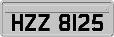 HZZ8125