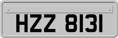 HZZ8131