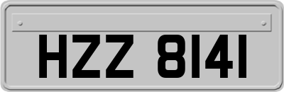 HZZ8141