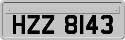HZZ8143