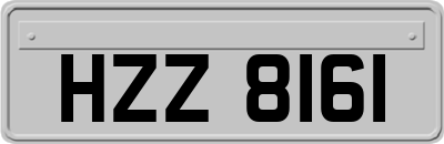 HZZ8161