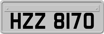 HZZ8170