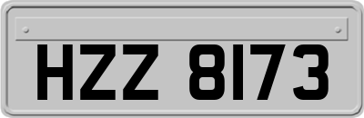 HZZ8173