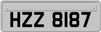 HZZ8187