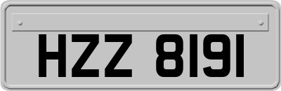HZZ8191
