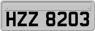 HZZ8203