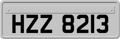 HZZ8213