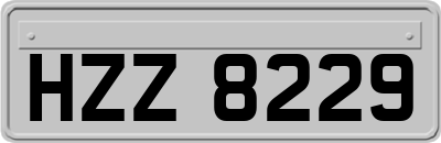 HZZ8229