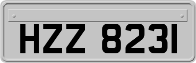 HZZ8231