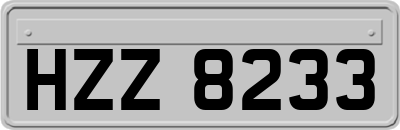 HZZ8233