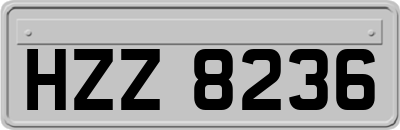 HZZ8236