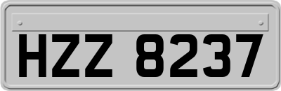 HZZ8237