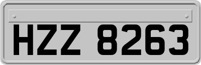 HZZ8263