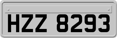 HZZ8293