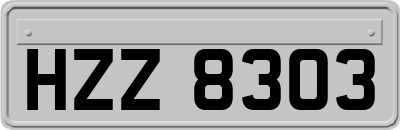 HZZ8303
