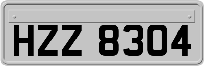 HZZ8304