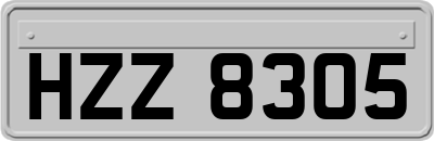 HZZ8305