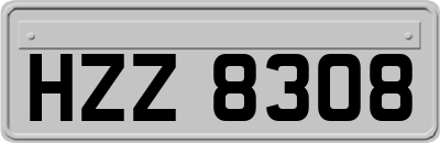 HZZ8308