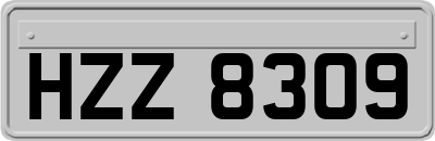 HZZ8309