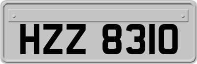 HZZ8310