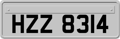 HZZ8314