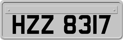 HZZ8317