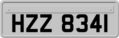 HZZ8341