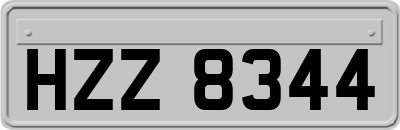 HZZ8344