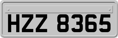 HZZ8365