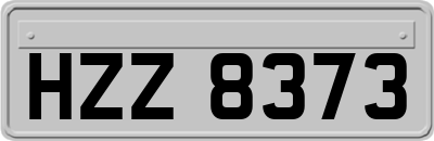 HZZ8373