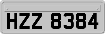 HZZ8384